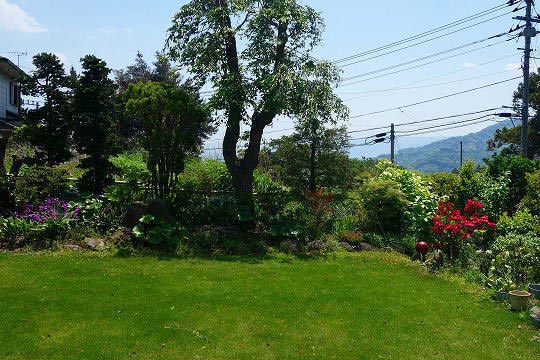 湯河原町吉浜　芝庭のある平屋建て