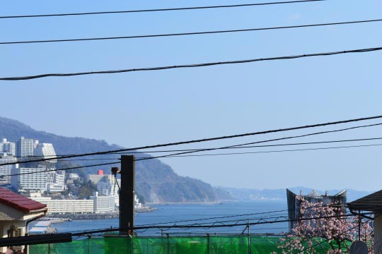 平坦で広い芝庭のある家