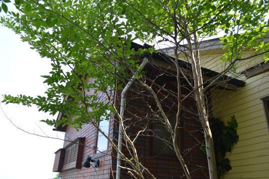 熱海市西山町　小路の奥に佇む小さなロッジ風戸建 
