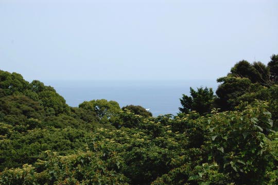 熱海市網代　自然に浸る洋風別荘
