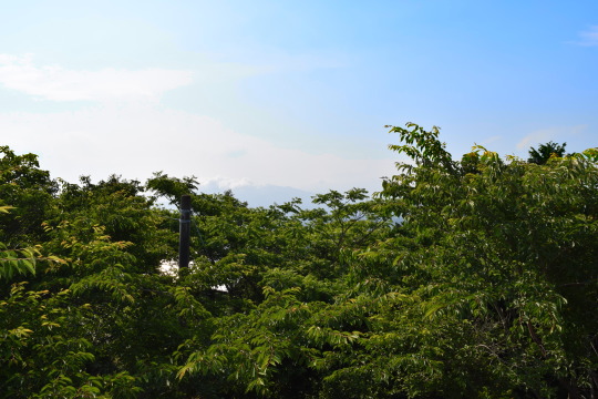 伊豆エメラルドタウン　富士山眺望　落ち着いた住環境の別荘