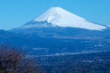 詳細を見る