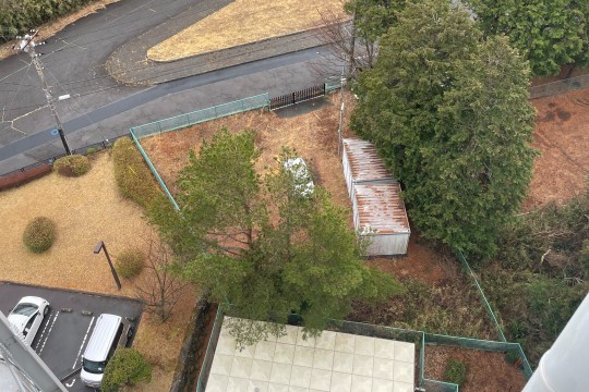 土地の様子