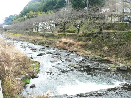 湯河原町宮上・ダイアパレス悠郷湯河原