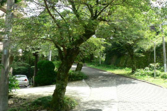 前面道路