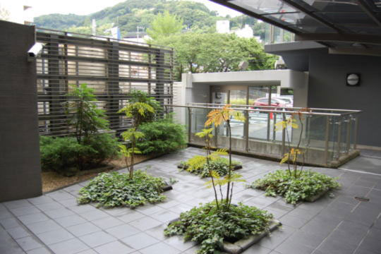 中庭