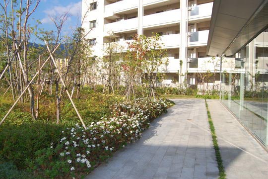 エントランス外通路