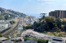 詳細を見る