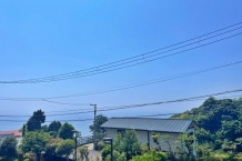 詳細を見る