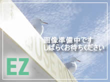 ライオンズマンション熱海　令和6年4月リフォーム完了予定　2LDK